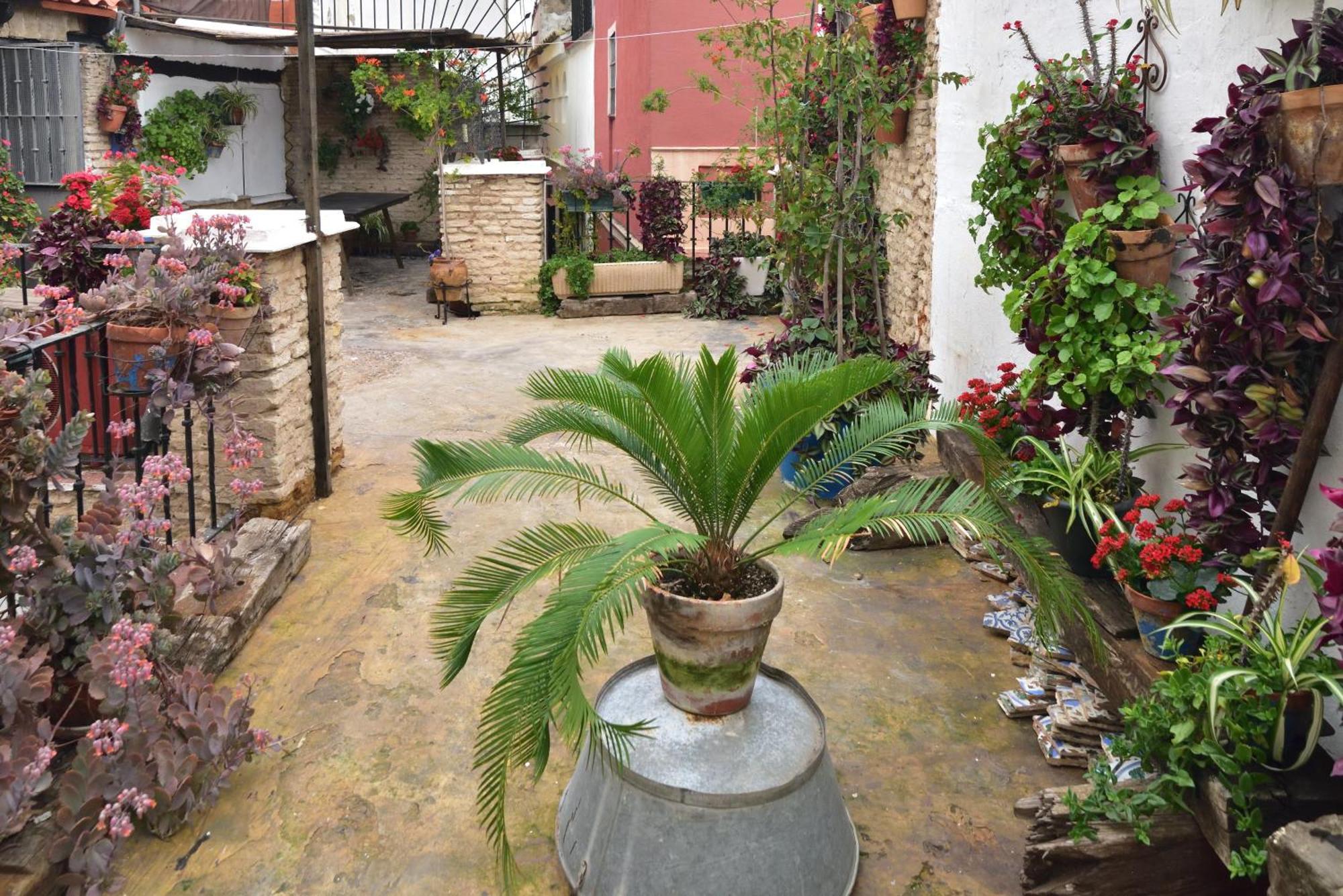 Casa Tenorio Barrio De Santa Cruz Sevilla Dış mekan fotoğraf