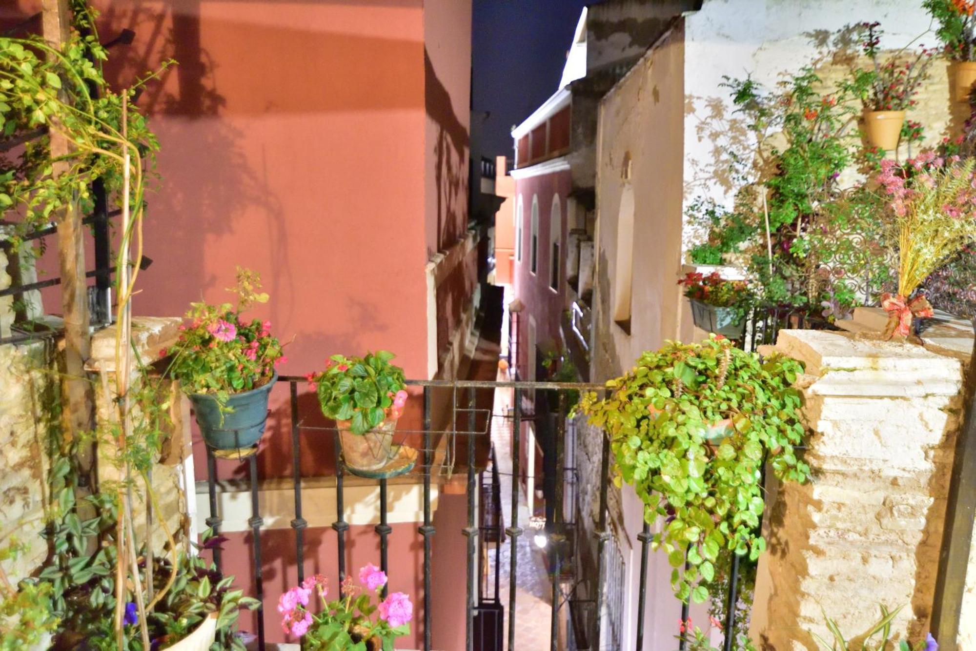 Casa Tenorio Barrio De Santa Cruz Sevilla Dış mekan fotoğraf